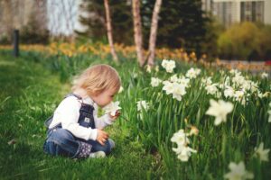 Read more about the article Helping Your Kids Aged 2-6 Years to Identify 100 Most Beautiful Flowers